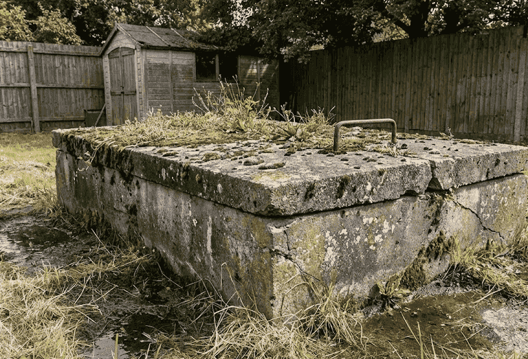 Signs septic service is needed in Fresno